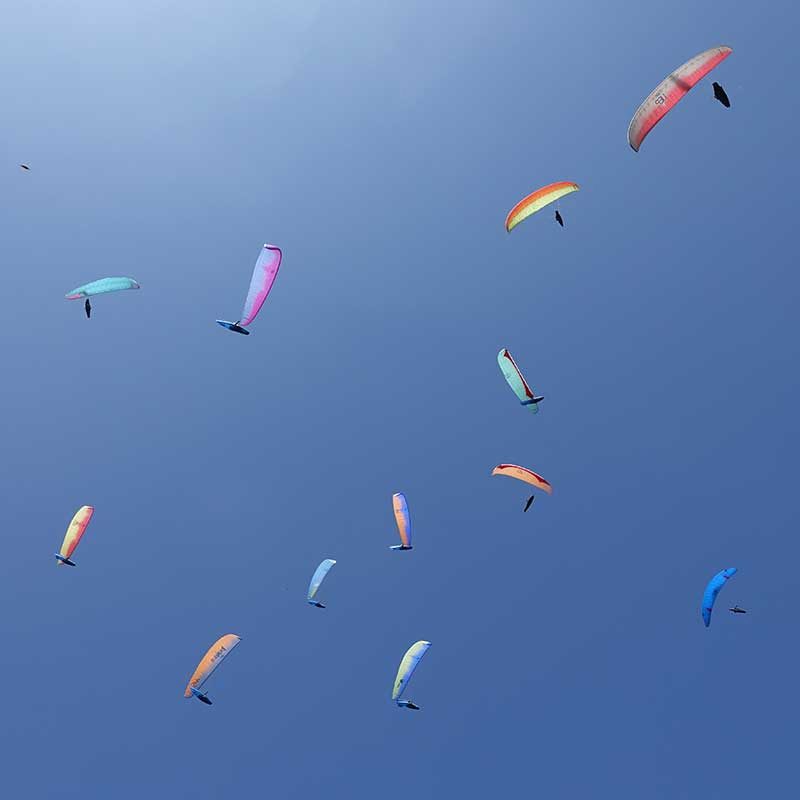 Parapente