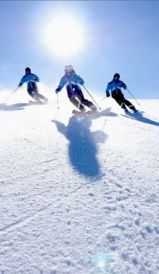 Le livret de formation du stagiaire en ski alpin